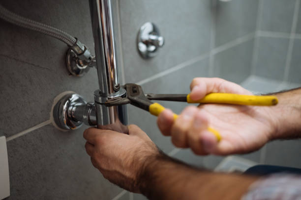 Best Plumbing Repair Near Me  in Brewster Heights, NY